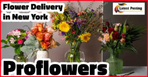 flower delivery chicago proflowers