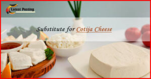 Cotija Cheese Substitutes