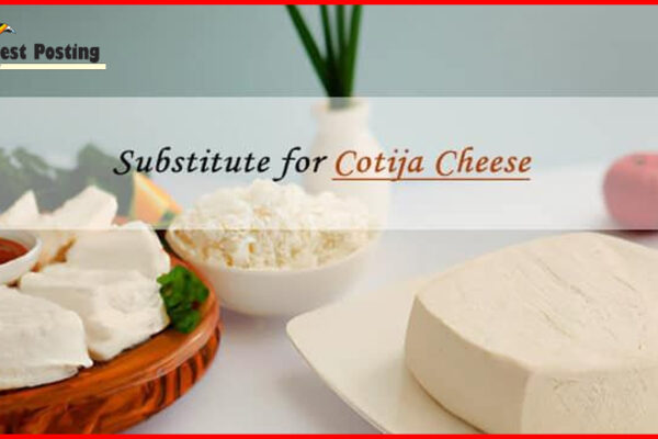 Cotija Cheese Substitutes