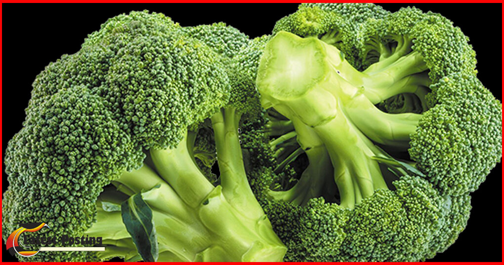 Brocoli