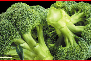 Brocoli