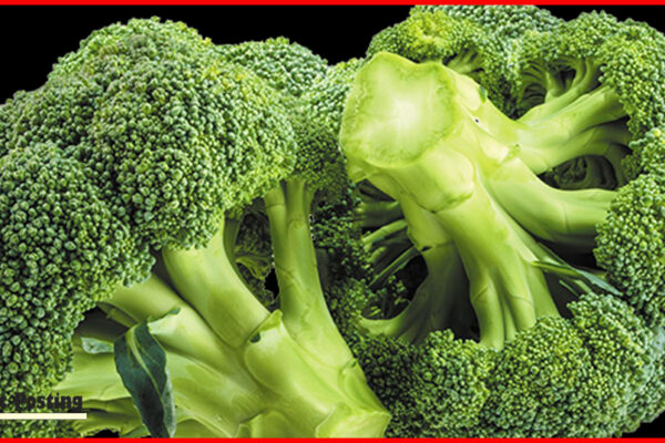 Brocoli