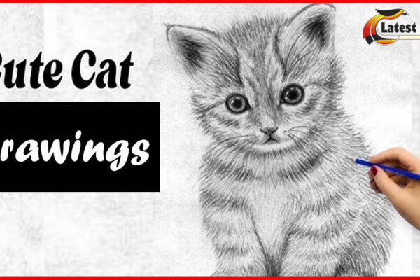 Cute cat drawings