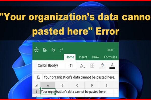 your organization's data cannot be pasted here